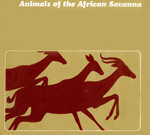 savanna