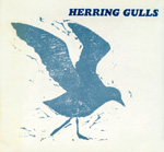herring gulls
