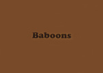 baboon filmstrip